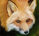  canine darksilver feral fox mammal solo 