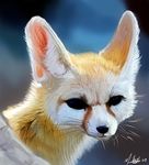  canine darksilver fennec feral fox mammal solo 