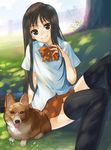  black_eyes black_hair black_legwear bow dappled_sunlight dog hand_on_own_chest highres hirokiku original shade sitting smile solo sunlight thighhighs tongue welsh_corgi 