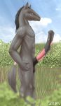  balls equine erection horse horsecock hyper male mammal nude penis solo zed001 