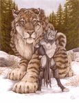  anthro breasts dark_natasha fangs feline female feral forest giant hi_res loincloth lynx mammal mullet nipples nude outside sabertooth scan scar scenery size_difference smilodon snow standing tail topless tree wood 