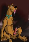  canine cum dog doodle feral hufnaar knot male mammal masturbation oral penis scooby-doo scooby-doo_(series) solo 
