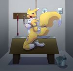  bdsm blush body_markings bondage bound breasts bucket canine chest_tuft digimon fox renamon riding_crop rope tail 