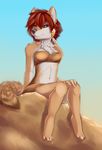  clothed clothing coyote female hair looking_at_viewer mammal red_hair sitting skimpy solo spazzykoneko 