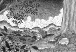  chibi cloud grass greyscale leaf minigirl monochrome moriya_suwako nature nib_pen_(medium) outdoors scenery solo soyanrai touhou traditional_media tree 