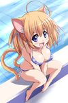 :d animal_ears bikini breast_squeeze breasts brown_hair cat_ears from_above long_hair looking_at_viewer medium_breasts open_mouth original perspective pool poolside pudding_(tonpuu) purple_eyes sitting smile solo striped striped_bikini swimsuit tail tonpuu twintails v_arms 
