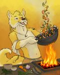  amara_telgemeier blonde_hair bowl brown_eyes brown_nose canine carrot clothing cooking cooking_with_furs ear_piercing earring fire food fox hair knife leek long_hair male mammal mushroom necklace onion open_mouth pants piercing ponytail shrimp solo tattoo tibetan_fox topless whiskers wok yellow_theme 