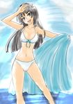  bikini black_hair blue_eyes flower futsuu_no_yuuki hair_flower hair_ornament long_hair saten_ruiko solo swimsuit to_aru_kagaku_no_railgun to_aru_majutsu_no_index 