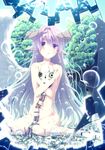  absurdres android asymmetrical_wings bubble cable demon_horns highres horns long_hair navel nude original pointy_ears purple_eyes purple_hair solo very_long_hair wings wire yamabuki_zarame 