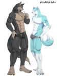  barazoku biceps big_muscles blush bulge candy canine clothing collar couple dog duo fur husky ig lollipop male mammal muscles nipples pecs plain_background pose simple_background solo speedo standing swimsuit underwear wolf 
