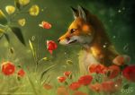  2018 black_lips canine digital_media_(artwork) dragibuz feral flower fox fur grass mammal orange_fur plant solo whiskers 