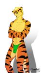  bulge feline hair male mammal solo tail tiger topless 