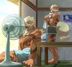  anthro biri bulge calendar canine carton claws clothing couple eyes_closed fan heat_(temperature) jirachi legendary_pok&#233;mon male mammal milk nintendo pawpads pok&#233;mon pok&eacute;mon red_eyes riot41 shorts sitting sweat towel underwear video_games 