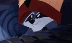  disgust disney gif mammal meeko pocahontas raccoon solo tongue 