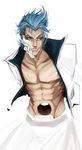  bleach blue_eyes blue_hair grimmjow grimmjow_jaegerjaquez hair human male mammal not_furry solo unknown_artist 