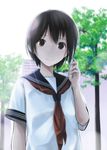  black_eyes black_hair blush cellphone closed_mouth face hitori_(htr_t) looking_at_viewer original phone school_uniform serafuku short_hair smile solo sunlight tree 