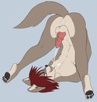  balls blue_eyes canine cum cum_in_mouth cum_inside cum_on_chest cum_on_tongue fox hair knot male mammal masturbation nude penis red_hair skidd solo tongue upside_down 