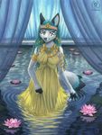  bath braids canine dog drapery egyptian female flower green_eyes husky hybrid icee jewelry kacey lotus solo water wolf 