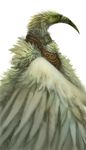  anthro avian bird looking_away male plain_background pose silverfox silverfox5213 solo standing white white_feathers wings 