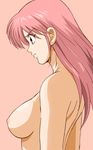  breasts dai_no_daiboken dragon_quest dragon_quest_dai_no_daibouken higashitaishi maam nipples nude 