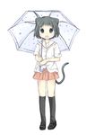  absurdres animal_ears bad_id bad_pixiv_id cat_ears cat_tail fang highres ikeda_kana kazekoshi_school_uniform saki sakuraba_hikaru_(loveindog) solo tail umbrella 