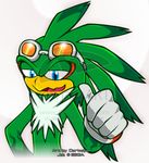  beak blue_eyes chest_tuft darkeiya eyewear fur gloves goggles green green_body hawk jet_the_hawk male plain_background sega solo sonic_(series) sonic_riders thumbs_up tuft white_background 