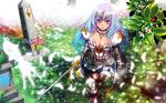  annelotte queens_blade tagme 