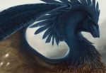  artylay blue_eyes blue_feathers claws digital_media_(artwork) dragon eragon feathers female feral fur furred_dragon hi_res horn membranous_wings saphira scalie simple_background solo wallpaper wings 