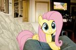  curtains cute cutie_mark daytime door equine female feral fluttershy_(mlp) friendship_is_magic hair hasbro horse jeans kitchen mammal mixed_media my_little_pony pegasus pillow pink_hair ponies_in_real_life pony real security_system smile sofa solo television wings 