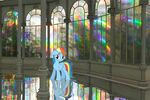  blue_fur columns cute cutie_mark equine female feral friendship_is_magic fur hair horse mammal mixed_media multi-colored_hair my_little_pony pegasus ponies_in_real_life pony rainbow rainbow_dash_(mlp) rainbow_hair real reflection solo window windows wings 