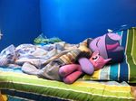  cute equine eyes_closed female feral friendship_is_magic hair horn horse long_hair mammal mixed_media mixermike622 my_little_pony pillow plushie ponies_in_real_life pony purple_hair real short_hair sleeping twilight_sparkle_(mlp) unicorn 