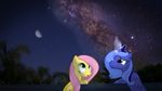  alicorn blue_hair cute equine female feral fluttershy_(mlp) friendship_is_magic hair hasbro horn horse mammal mixed_media moon my_little_pony night pegasus pink_hair ponies_in_real_life pony princess_luna_(mlp) real sky stars tree winged_unicorn wings wood 