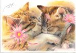  animal cat cat_focus closed_eyes colored_pencil_(medium) cuddling flower fur kaminaga_mutsumi no_humans original petals realistic signature sleeping traditional_media 