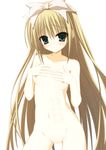  blonde_hair body_writing covering covering_breasts green_eyes hands_on_own_chest highres long_hair nude pussy ribbon seitokai_no_ichizon shiina_mafuyu shitsuki_nagi solo very_long_hair 