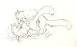  all_fours canine doggy_position doggystyle female feral feral_on_feral fox from_behind male mammal penetration penis sex sketch straight tsareia 