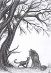  canine cat feline kissing love mammal romantic safe three tree wolf 