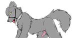  all_fours ball_gag canine collar cum gag knot lunar_epitaph male mammal nude penis solo wolf 