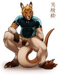  anthro balls biceps big_muscles big_penis blonde_hair bottomless claws clothed clothing colson erection facial_hair flaccid fur goatee hair half-dressed jocelyn_dunn kangaroo looking_at_viewer male marsupial muscles otteroo pecs penis pose solo spread_legs spreading tail wfa 