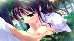  blue_eyes blush breasts brown_hair censored fellatio game_cg hamashima_shigeo hanamadoka_shino nipples penis pochi_to_goshujin-sama skyfish 