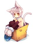  animal_ears bad_id bad_pixiv_id bell black_gloves black_legwear breasts cat_ears cat_tail choker cow_bell elbow_gloves flat_chest full_body gloves no_bra nude original paws sana.c short_hair sideboob sitting small_breasts solo tail thighhighs white_hair yellow_eyes 