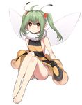  :3 antennae bad_deviantart_id bad_id bare_legs barefoot bee_girl dress feet flat_chest fur_collar green_hair hair_bobbles hair_ornament insect_girl insect_wings long_hair monster_girl naso4 original panties pantyshot pointy_ears red_eyes sidelocks solo twintails underwear wings 