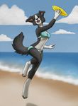  anthro beach bikini black_nose border_collie breasts canine cleavage clothed clothing cloud clouds collaboration dog erinkitty female frisbee hi_res jumping katida lisa mammal open_mouth orange_eyes pinup pose seaside skimpy solo swimsuit xtaintedxtigerx 