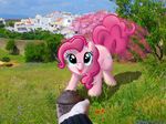  cloud clouds cute cutie_mark deathpwny equine female feral flower food friendship_is_magic fur grass hair horse looking_at_viewer mammal mixed_media muffin my_little_pony pink_fur pink_hair pinkie_pie_(mlp) ponies_in_real_life pony real sky tree wall wood 