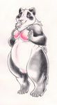  bear bottomless bra chubby clothed clothing female half-dressed mammal panda plain_background pussy solo tassy underwear white_background 