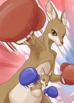  boxing_gloves child cub female kangaroo looking_at_viewer mammal manmosu_marimo marimo marsupial mother parent pouch punch roger_jr roger_mama siblings son tekken young 