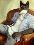  canine clothing looking_at_viewer male mammal shirt_pocket sitting sofa solo ulos12 wolf 