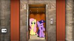  elevator equine female feral fluttershy_(mlp) friendship_is_magic hair horn horse long_hair mammal mixed_media my_little_pony pegasus pink_hair ponies_in_real_life pony purple_eyes purple_hair real short_hair twilight_sparkle_(mlp) unicorn wings 