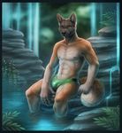  amber_eyes anthro biceps black_nose bulge canine claws detailed detailed_background dog fist front fur hurst leaves looking_at_viewer male mammal markings multicolor_fur muscles nature navel orange_fur pecs pose rock rubber seductive shiny sitting socks_(marking) solo speedo superboll swimsuit topless two_tone_fur underwear water waterfall 