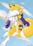  breasts canine cloud clouds collaboration dark-ahroun-friesian digimon female fox mammal nipples northboundfox open_mouth purple_eyes renamon solo 