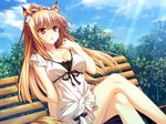  1girl animal_ears arm_support bench blonde_hair blush breasts cleavage dress fox_ears fox_tail foxgirl game_cg hand_on_shoulder highres large_breasts legs_crossed long_hair miyama_kon mole otomimi_infinity outdoors red_eyes ribbon sitting sky solo tail 